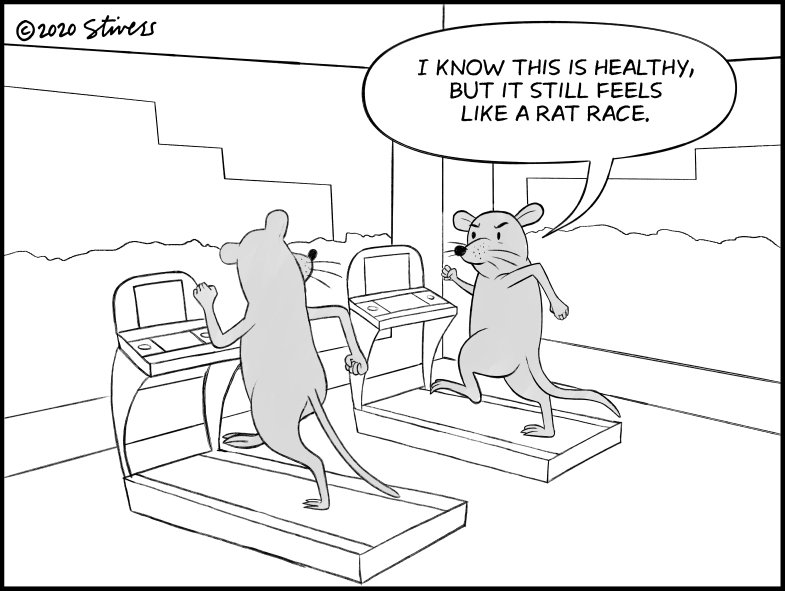 Rats on treadmills